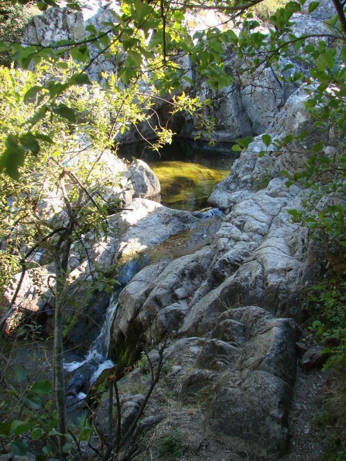 Ribes - Chalet Gite Au Coeur De La Nature Sournia エクステリア 写真