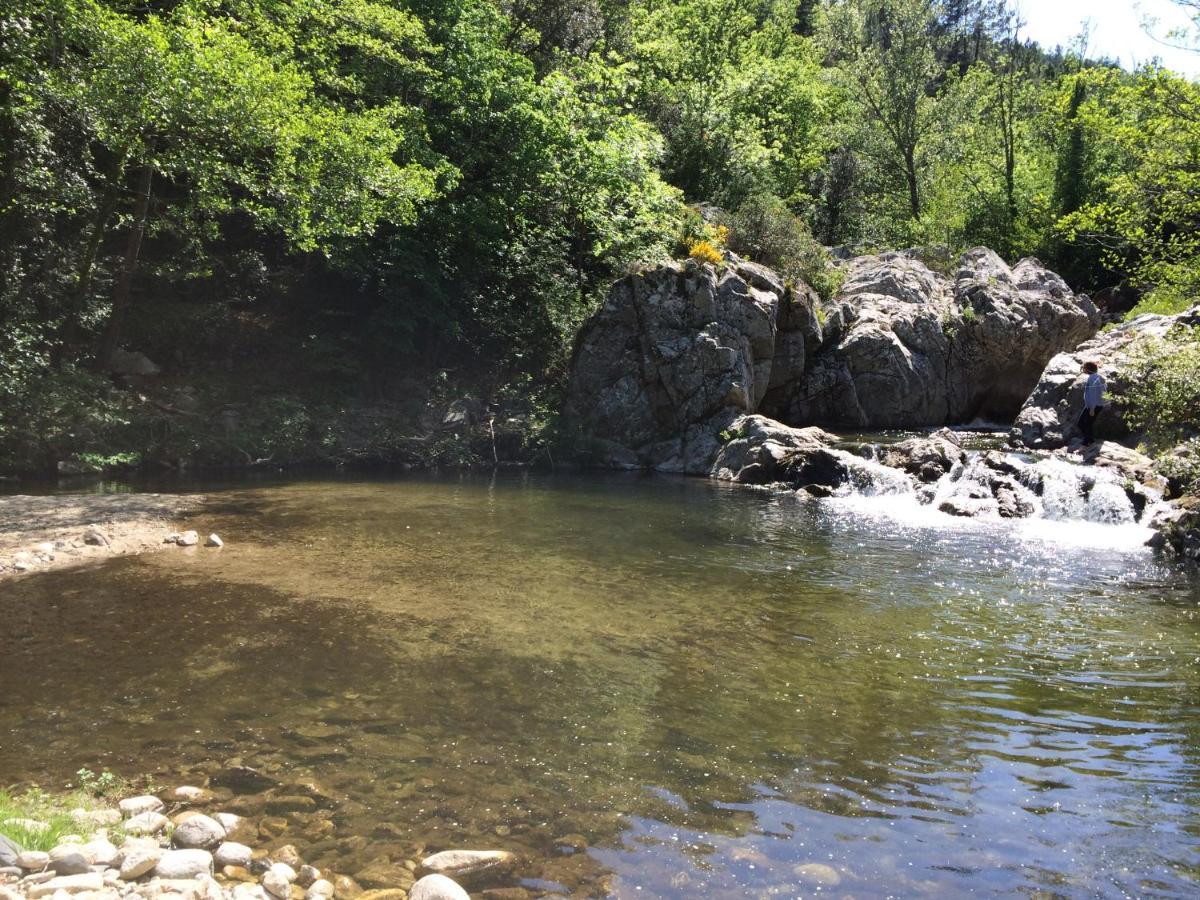 Sournia Ribes - Chalet Gite Au Coeur De La Natureヴィラ エクステリア 写真