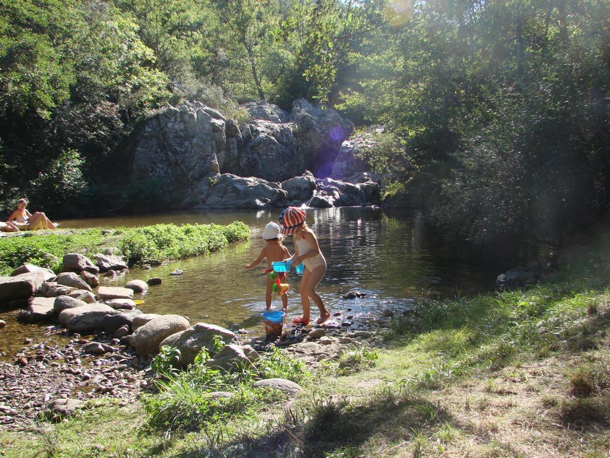 Ribes - Chalet Gite Au Coeur De La Nature Sournia エクステリア 写真